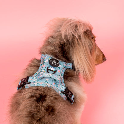 Silly Little Goose: No Pull Adventure Harness