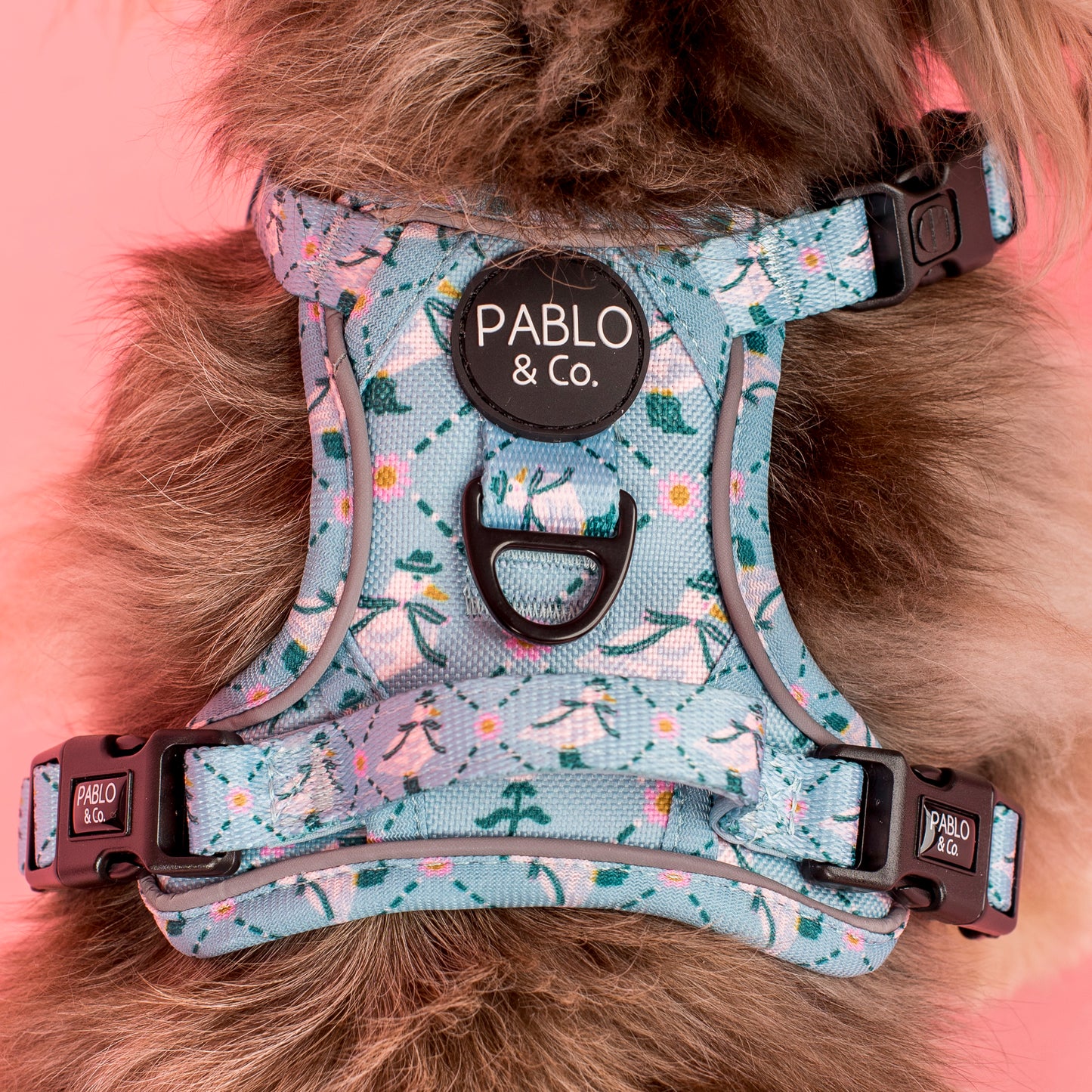 Silly Little Goose: No Pull Adventure Harness