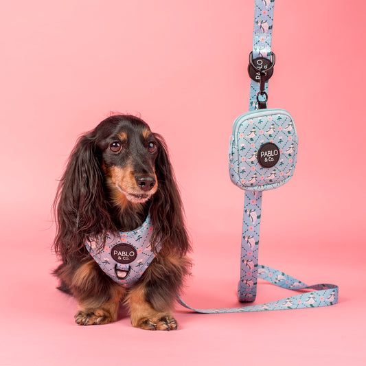 Silly Little Goose: Treat Pouch