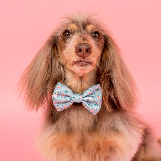 Silly Little Goose: Bow Tie