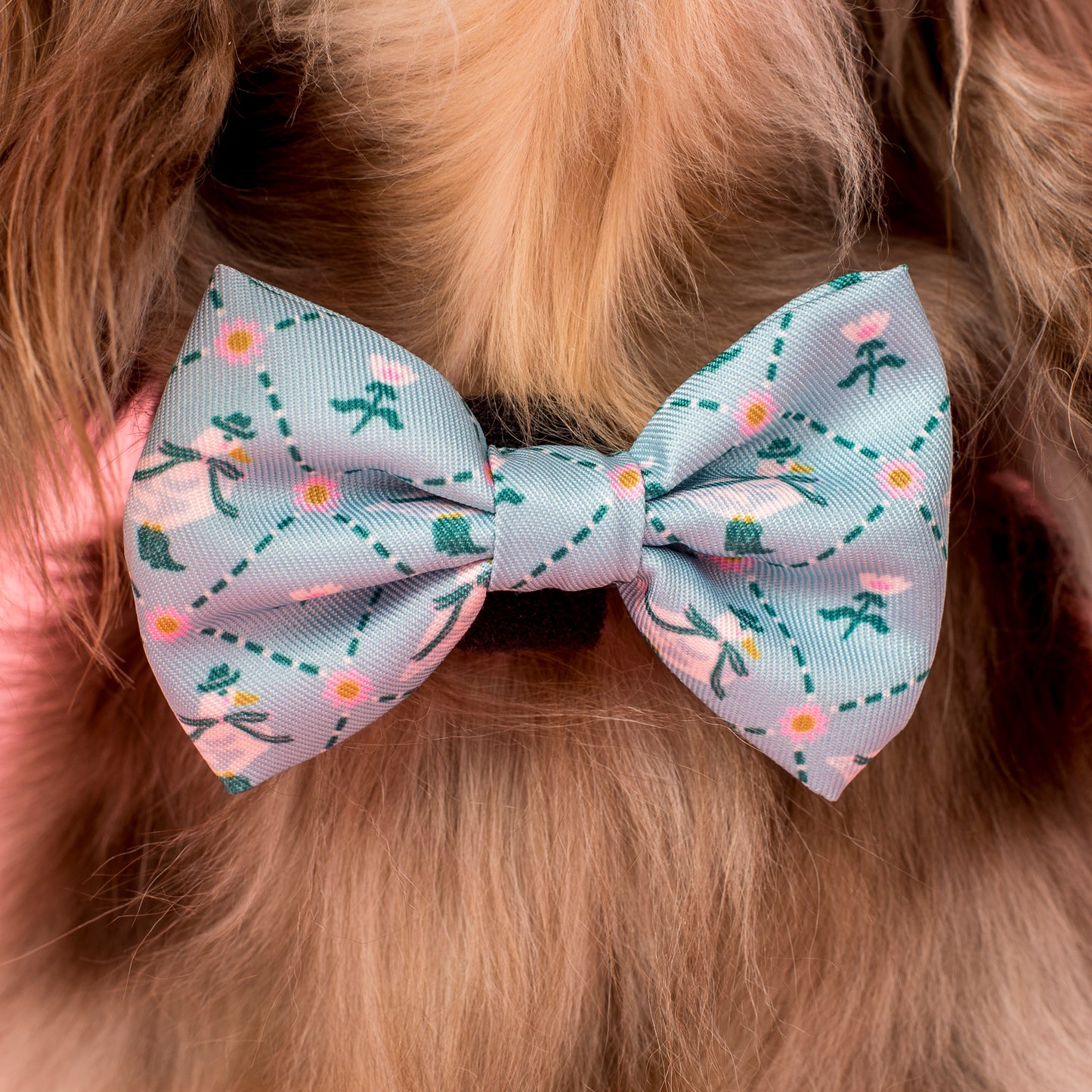 Silly Little Goose: Bow Tie