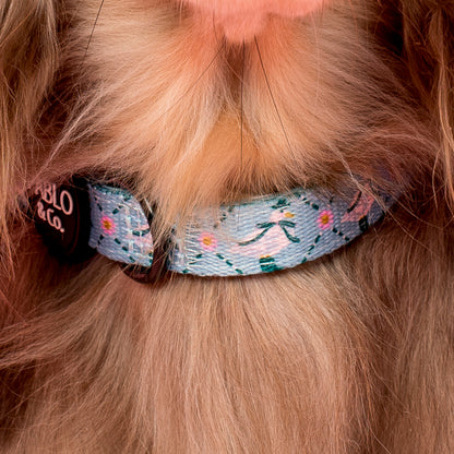 Silly Little Goose: Collar