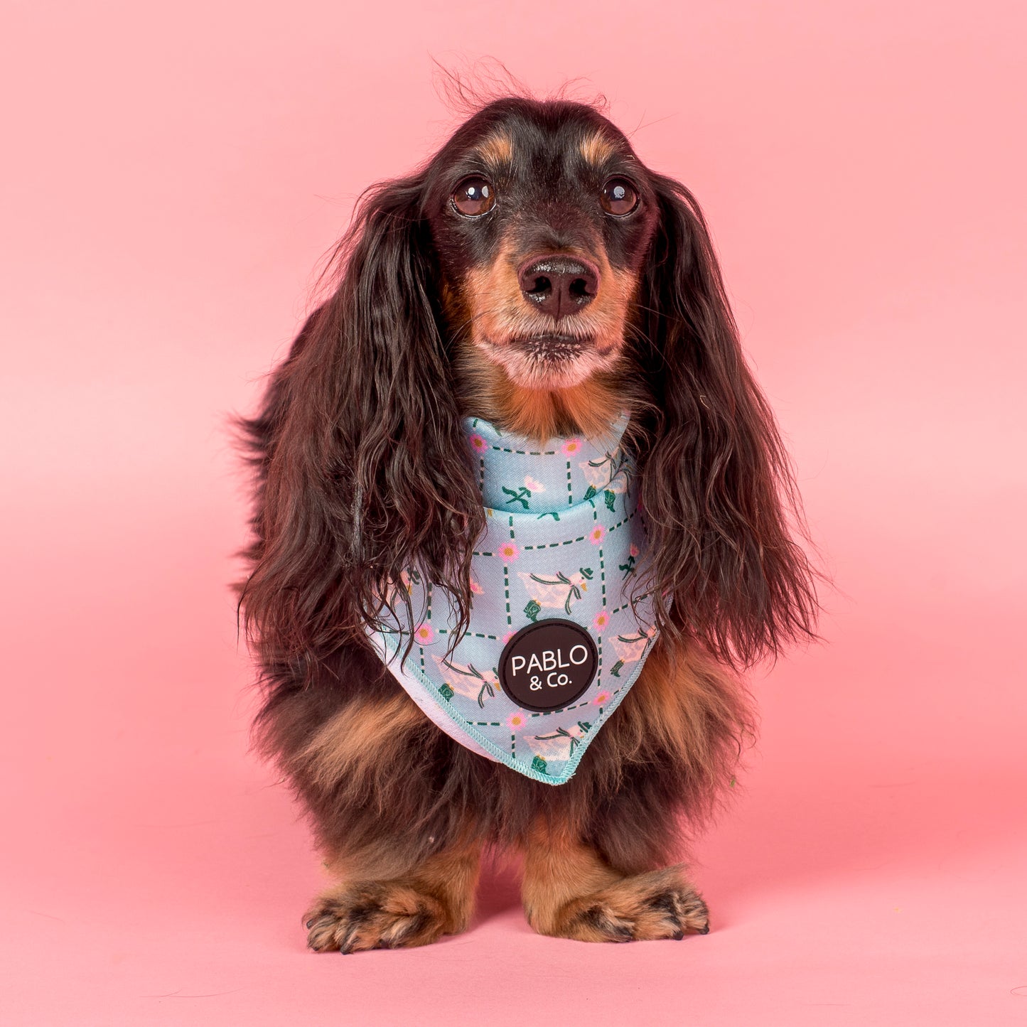 Silly Little Goose: Dog Bandana