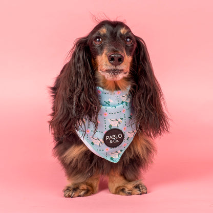 Silly Little Goose: Dog Bandana