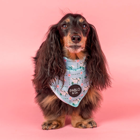 Silly Little Goose: Dog Bandana