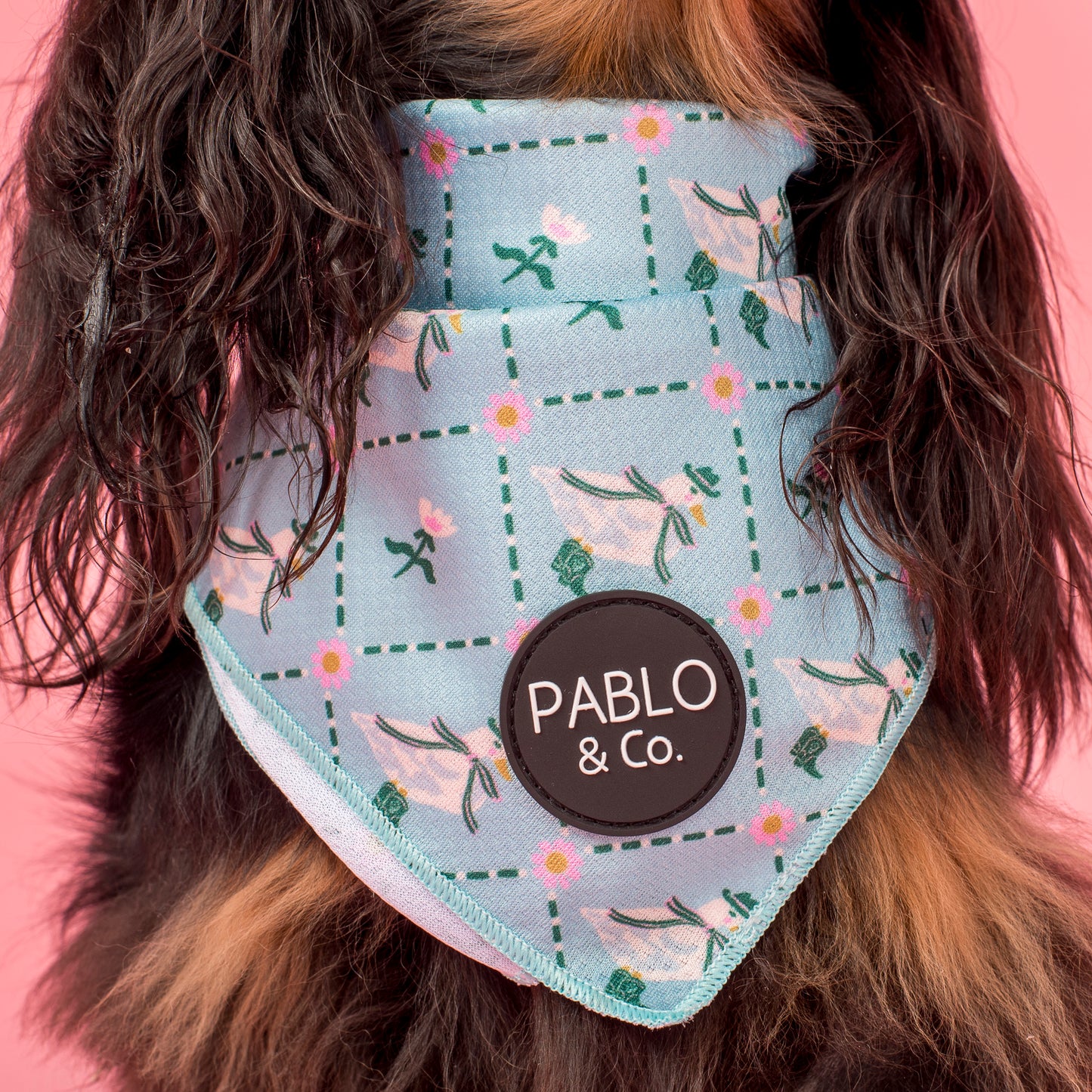 Silly Little Goose: Dog Bandana