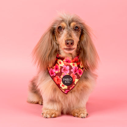 Hibiscus: Dog Bandana