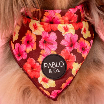 Hibiscus: Dog Bandana