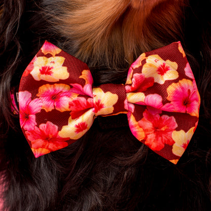 Hibiscus: Bow Tie