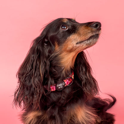 Hibiscus: Collar