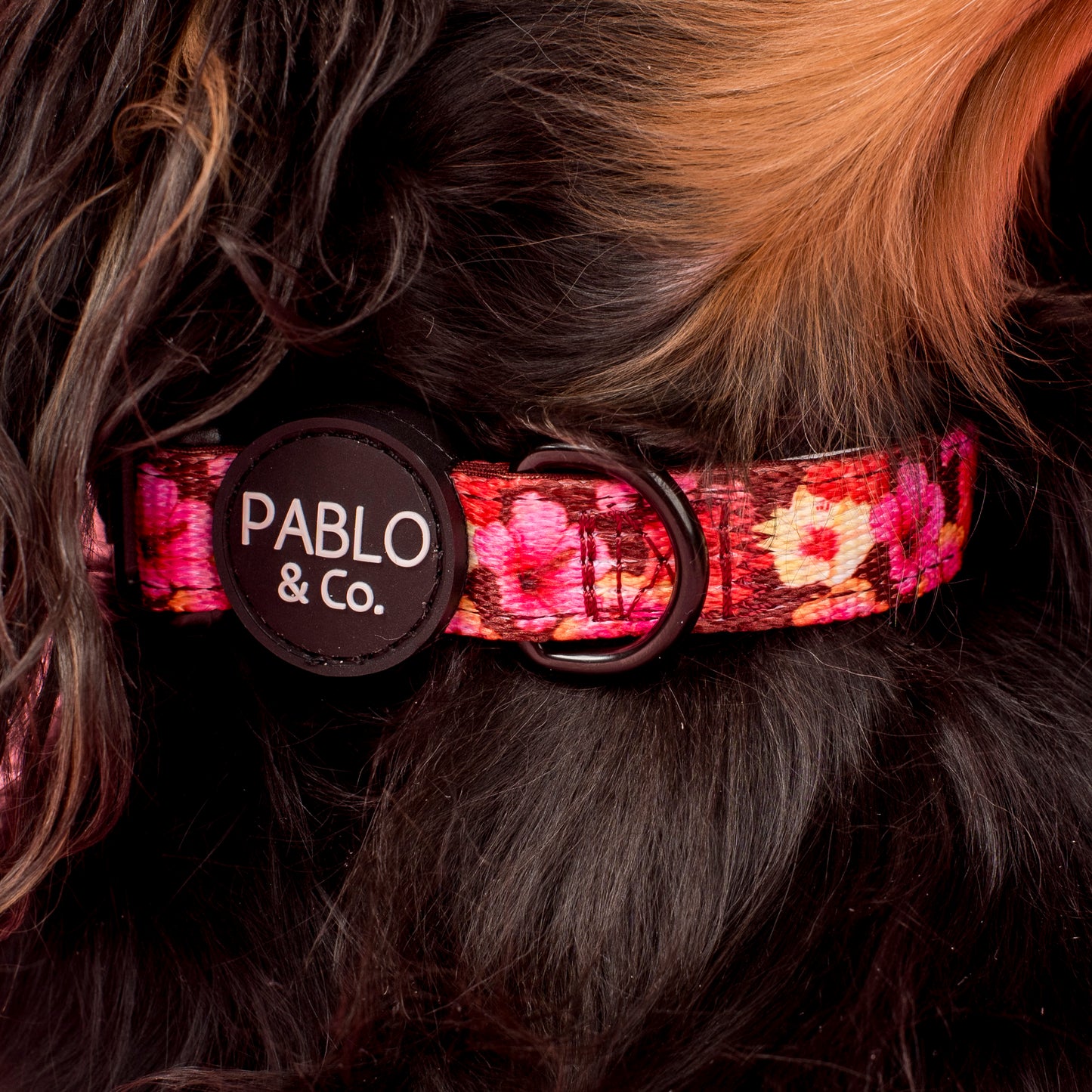 Hibiscus: Collar