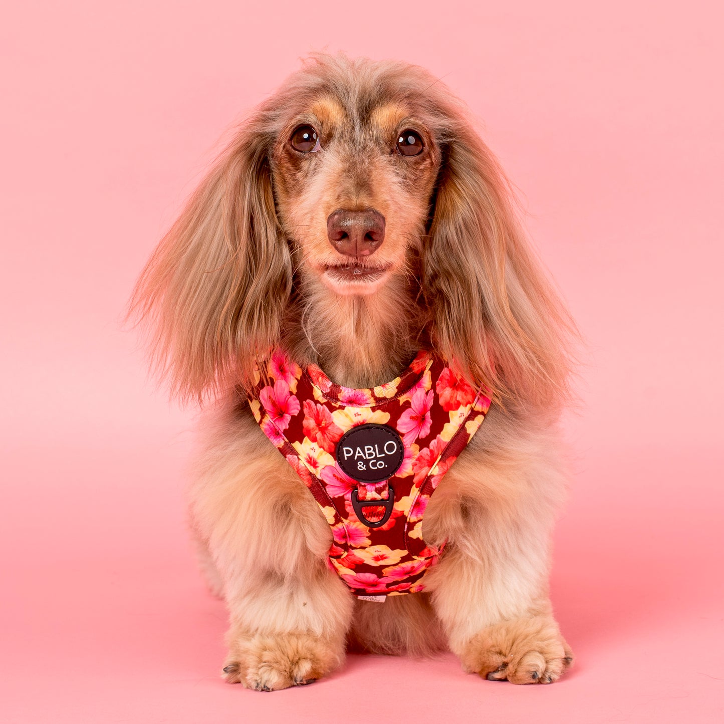 Hibiscus: Adjustable Harness