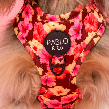 Hibiscus: Adjustable Harness
