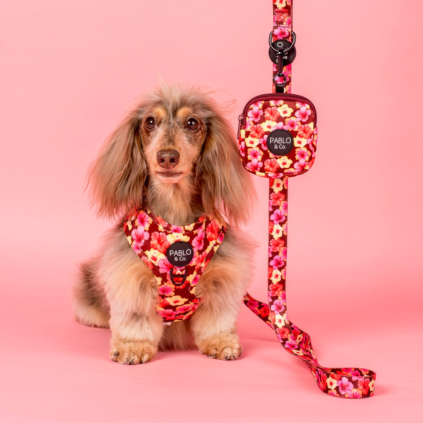 Hibiscus: Adjustable Harness