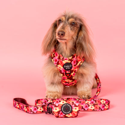 Hibiscus: Poop Bag Holder