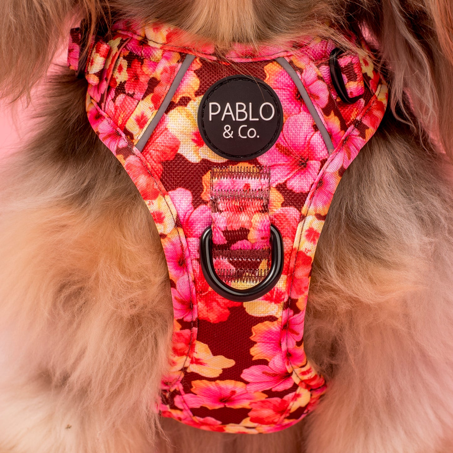 Hibiscus: No Pull Adventure Harness