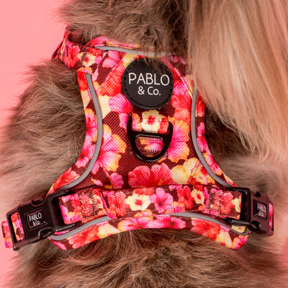 Hibiscus: No Pull Adventure Harness