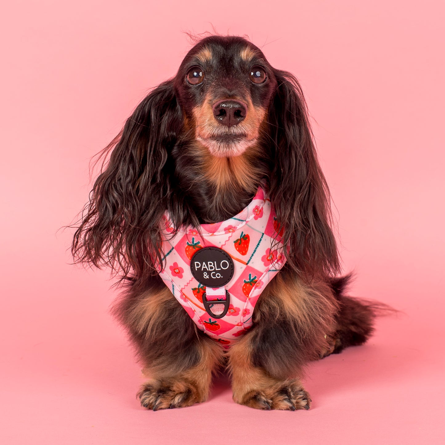 Strawberry Patch: Adjustable Harness