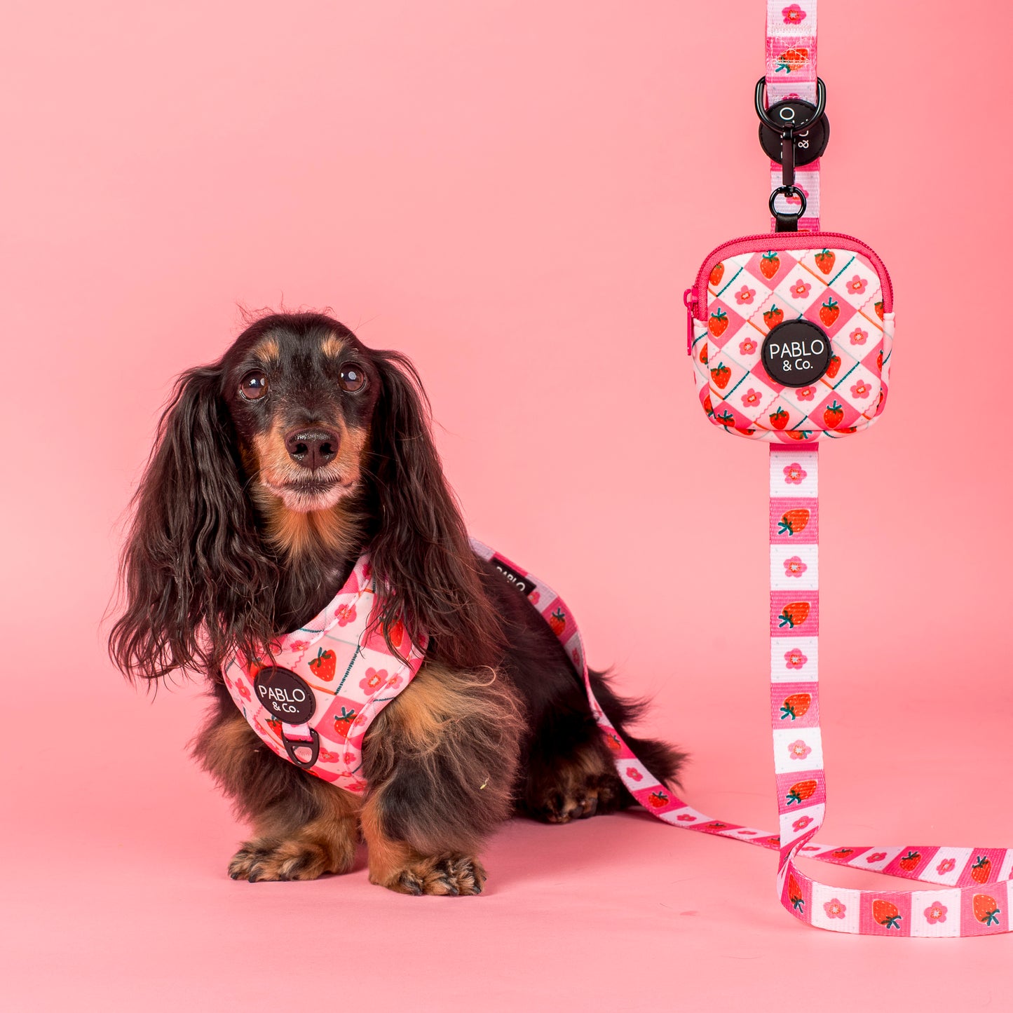 Strawberry Patch: Treat Pouch