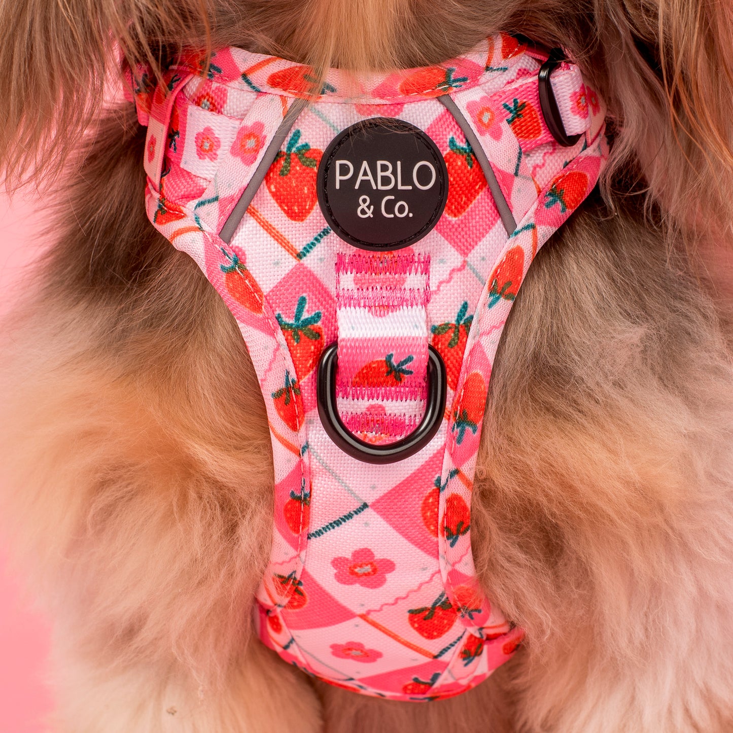 Strawberry Patch: No Pull Adventure Harness