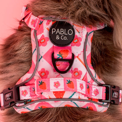 Strawberry Patch: No Pull Adventure Harness