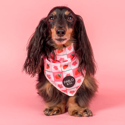 Strawberry Patch: Dog Bandana