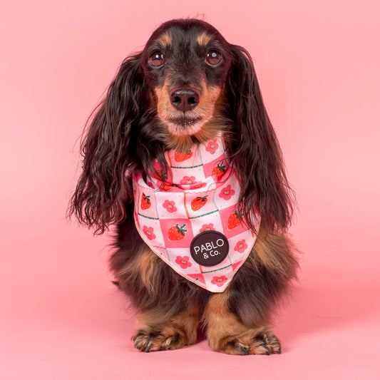 Strawberry Patch: Dog Bandana