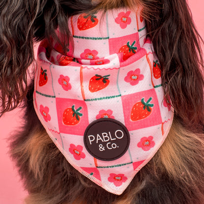 Strawberry Patch: Dog Bandana