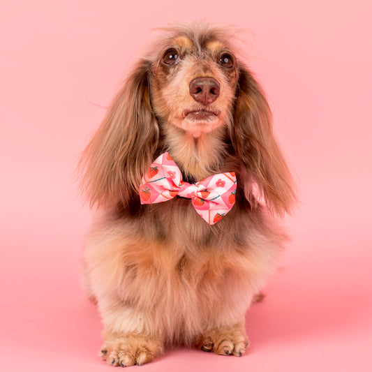 Strawberry Patch: Bow Tie