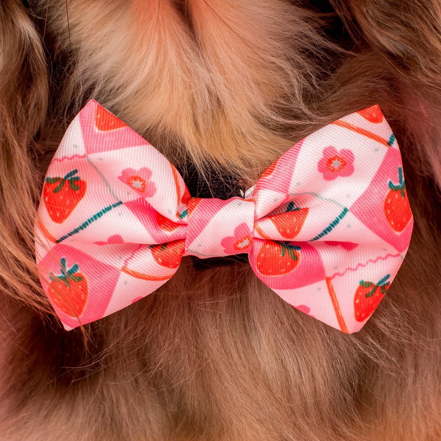 Strawberry Patch: Bow Tie