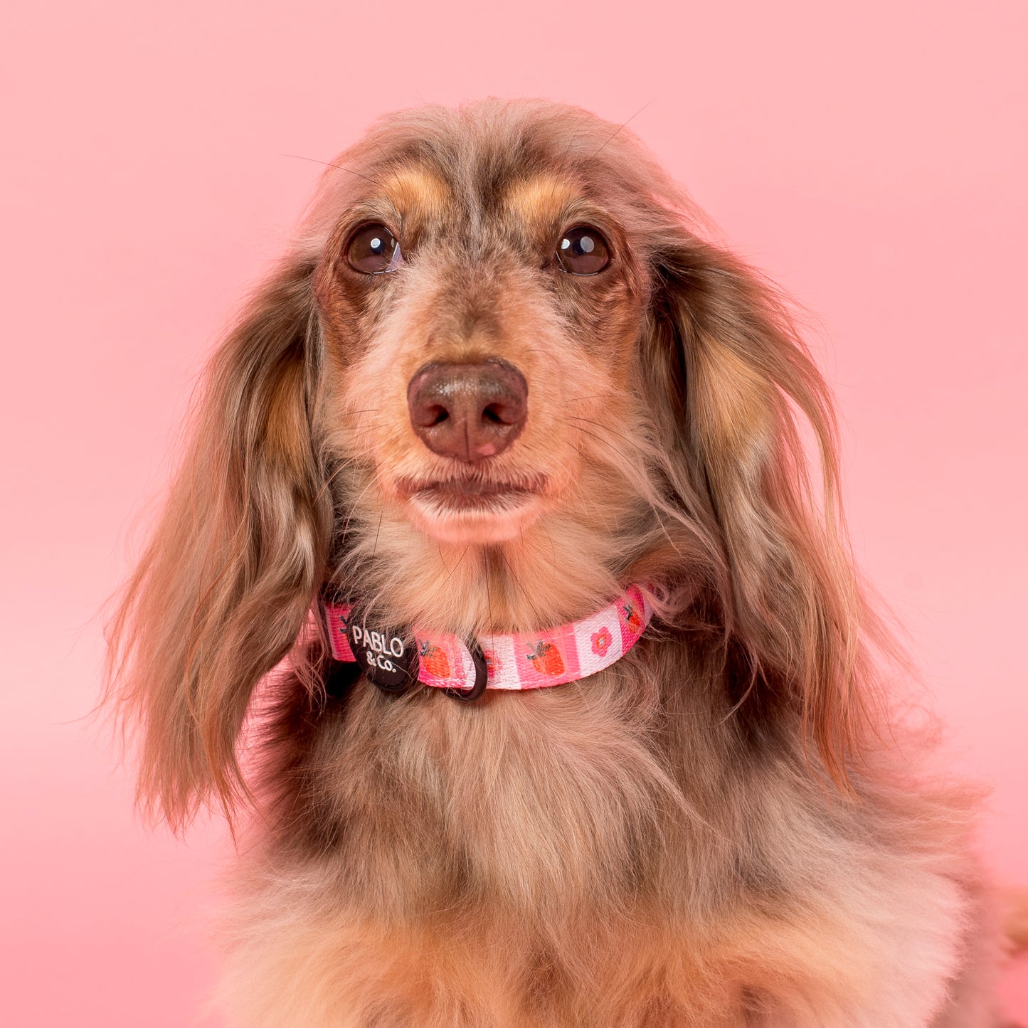 Strawberry Patch: Collar