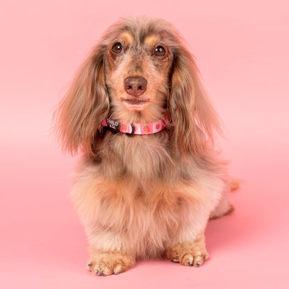 Strawberry Patch: Collar