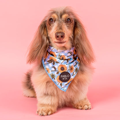 Sunny Sunflowers: Dog Bandana