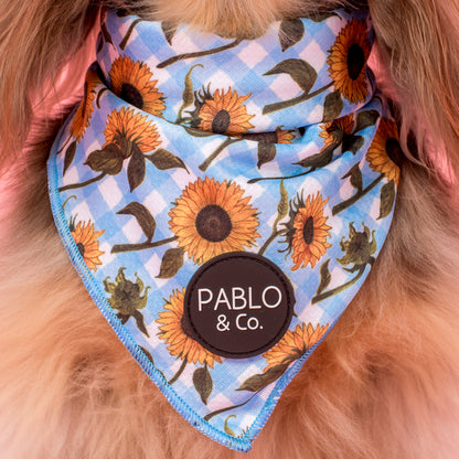 Sunny Sunflowers: Dog Bandana