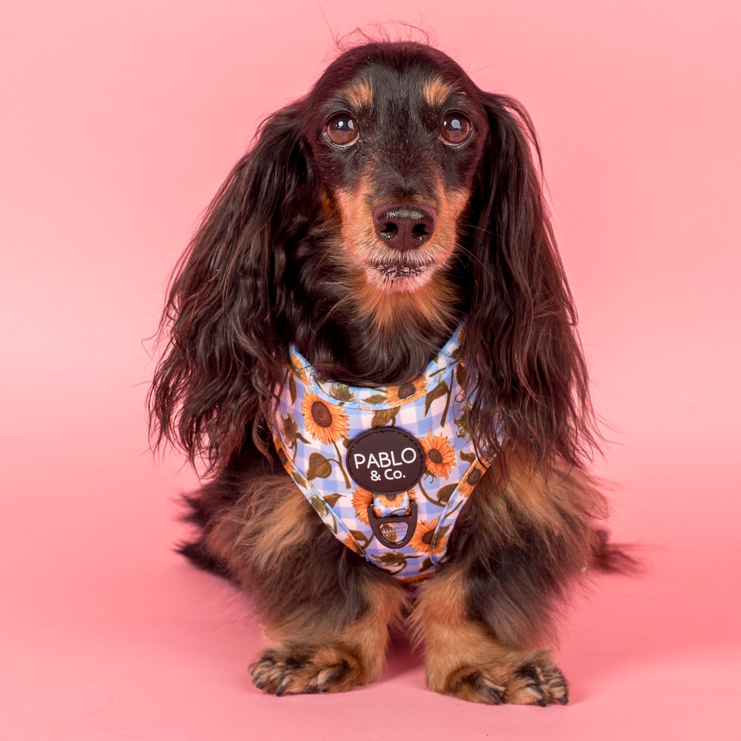 Sunny Sunflowers: Adjustable Harness