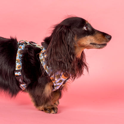 Sunny Sunflowers: Adjustable Harness