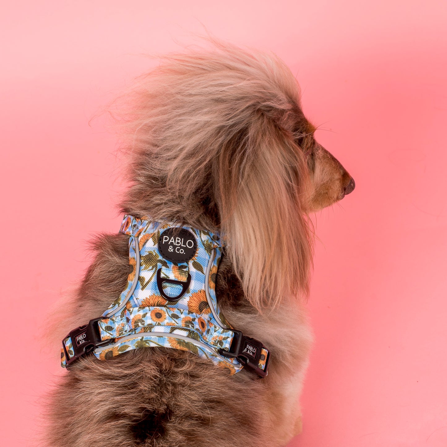 Sunny Sunflowers: No Pull Adventure Harness