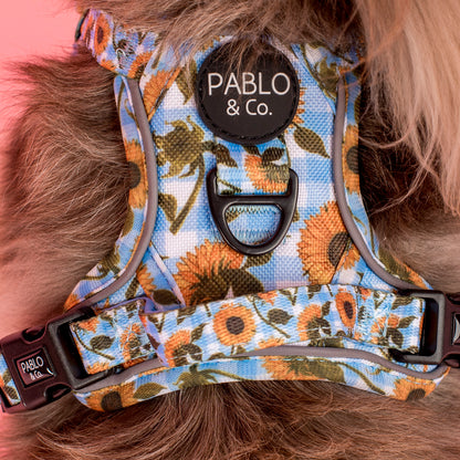 Sunny Sunflowers: No Pull Adventure Harness