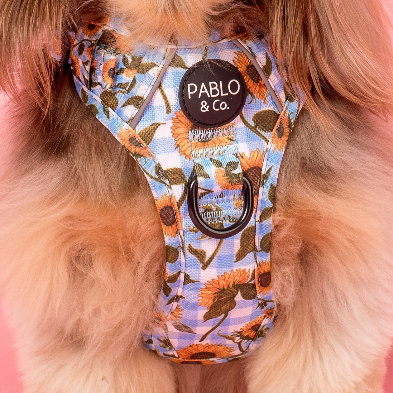 Sunny Sunflowers: No Pull Adventure Harness