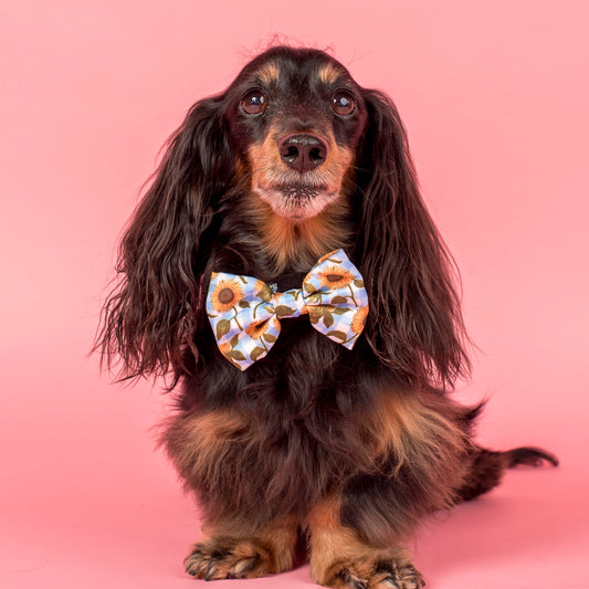 Sunny Sunflowers: Bow Tie