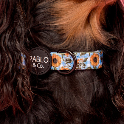 Sunny Sunflowers: Collar