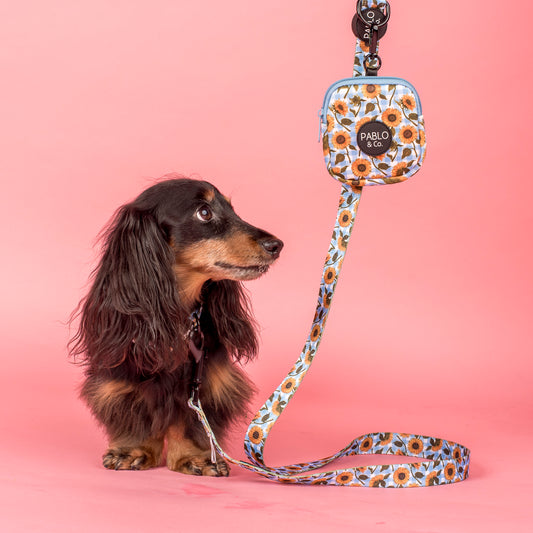 Sunny Sunflowers: Treat Pouch