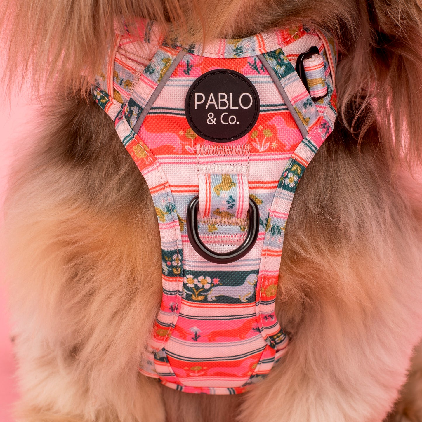 The Blooming Dachshund: No Pull Adventure Harness