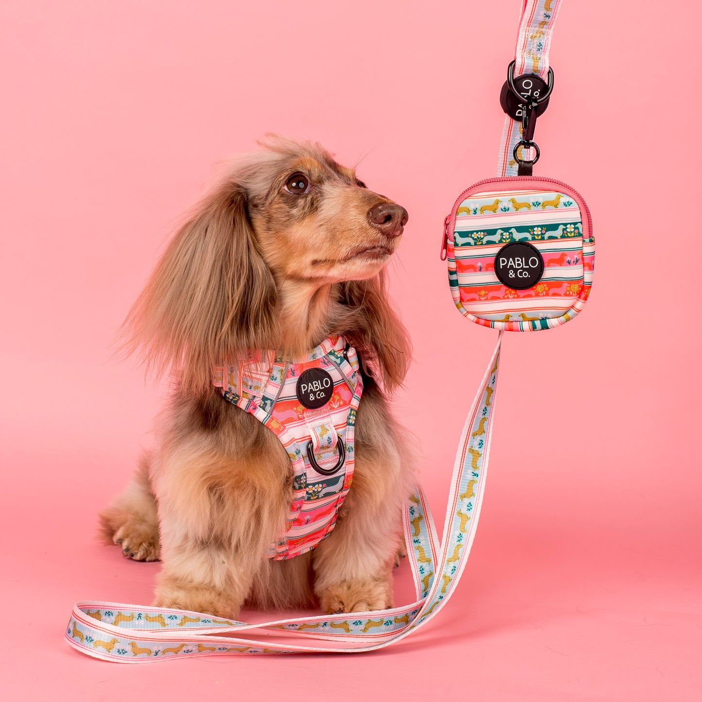 The Blooming Dachshund: Treat Pouch