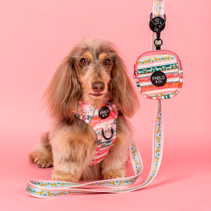 The Blooming Dachshund: Treat Pouch