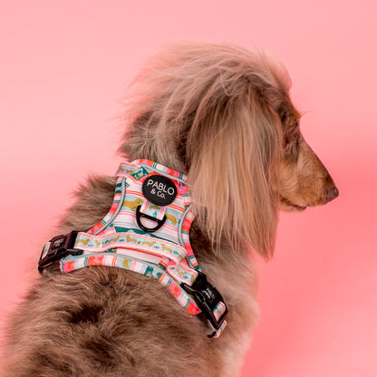 The Blooming Dachshund: No Pull Adventure Harness