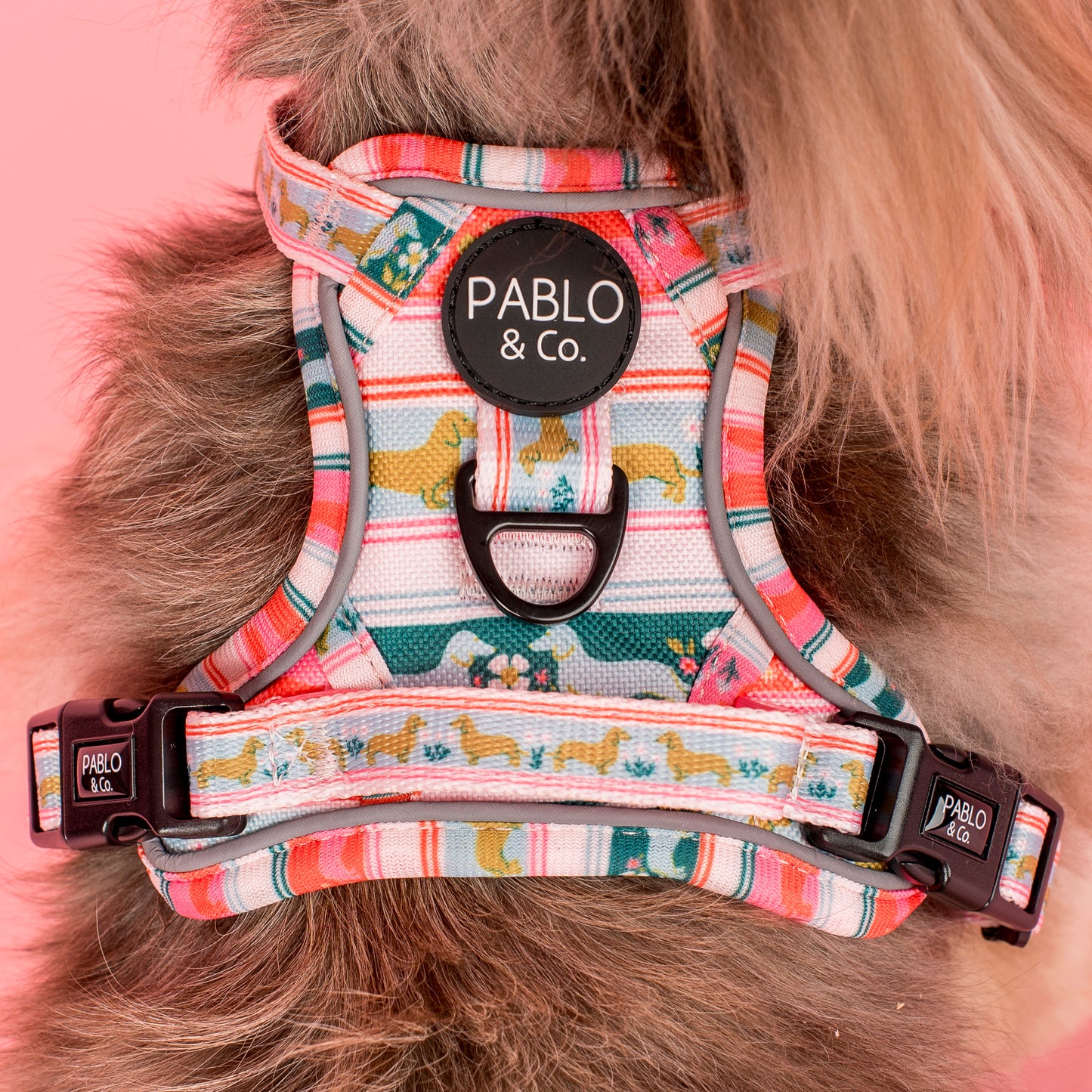 The Blooming Dachshund: No Pull Adventure Harness