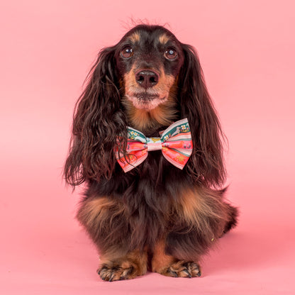 The Blooming Dachshund: Bow Tie