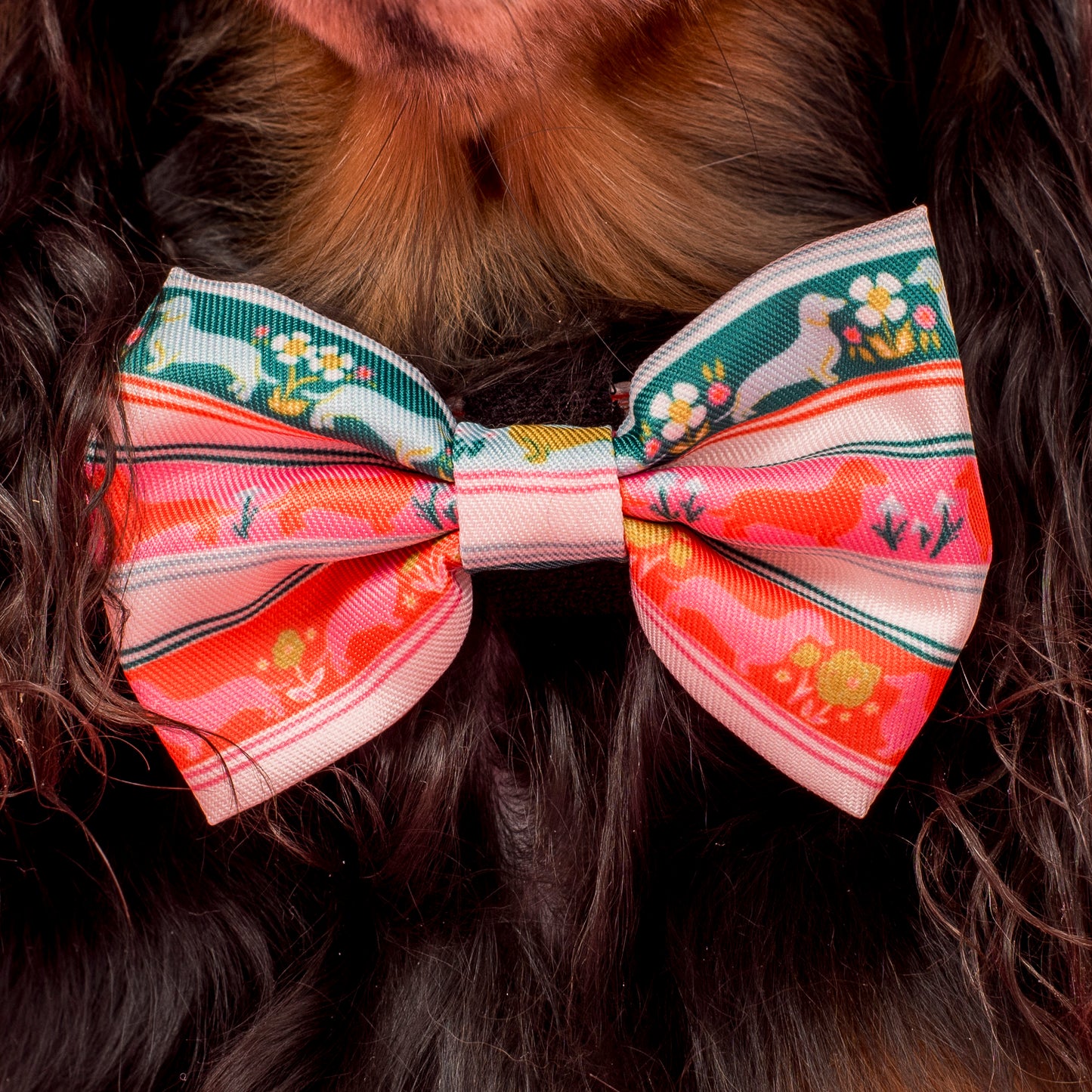The Blooming Dachshund: Bow Tie