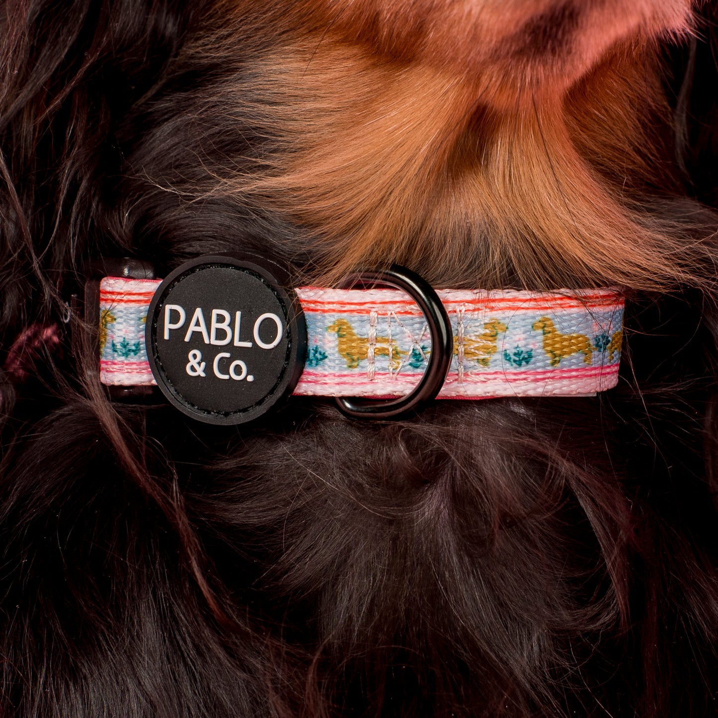 The Blooming Dachshund: Collar